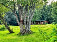 Moose Twin Cabins.