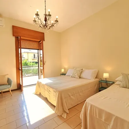 The Little Vineyard