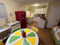 Retro 1-bedroom duplex in quiet Chapel Hill neighborhood