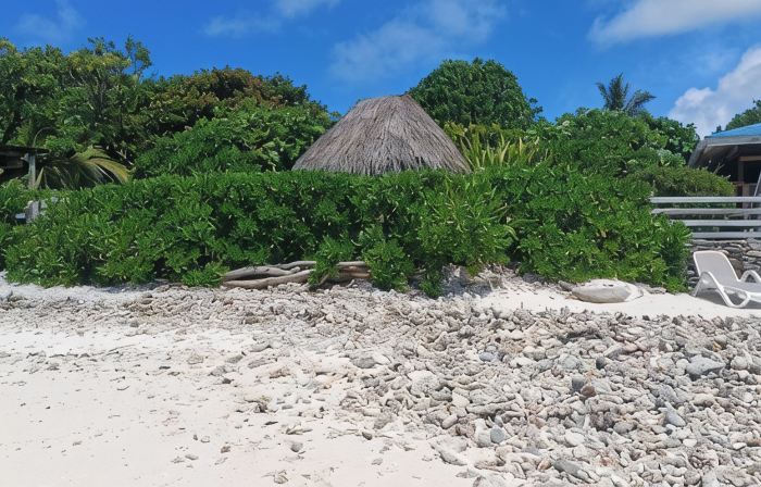 Tehinavai Bungalow: Oceanfront, Sandy and Coral Beach, Whale-Watching, Moorea