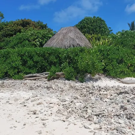 Air-Conditioned Bungalow Facing the Ocean, Sandy Beach and Coral Reef, Whale Watching, Moorea