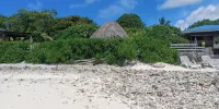 Tehinavai Bungalow: Oceanfront, Sandy and Coral Beach, Whale-Watching, Moorea - Bungalows