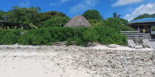Air-Conditioned Bungalow Facing the Ocean, Sandy Beach and Coral Reef, Whale Watching, Moorea