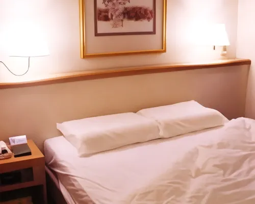 Mito Riverside Hotel الغرف Photos