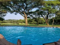 Sabi River Sun Resort - Pools
