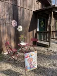1 Playful Cub-Great Unbelievable Rates, Check it Out - 3-Star