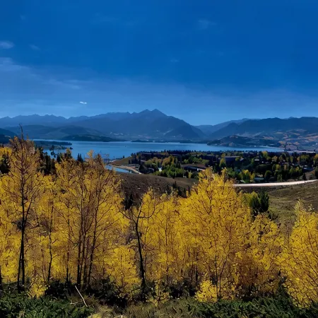 Silverthorne Summer Escape Amongst the Aspens! 2Br, 3Bed Renovated Condo