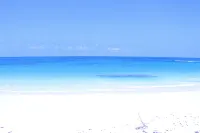 Trade Winds - Oceanview, Private Pool, Short Walk To Pink Sand Beach, Central. - 3 tähden