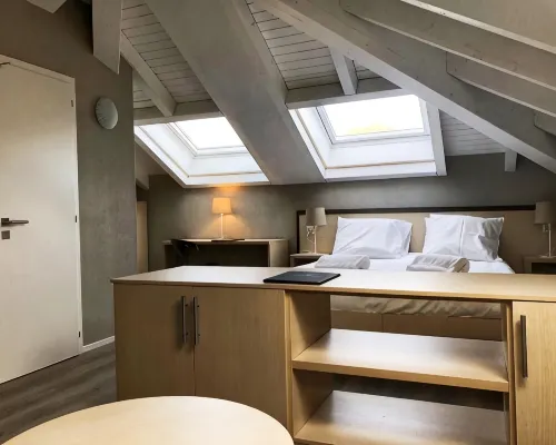 Hotel Pas de Cheville Hotels in Conthey
