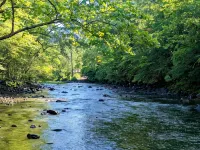 Secluded Riverfront Cabin 5 acres on Little Missouri River - con encanto