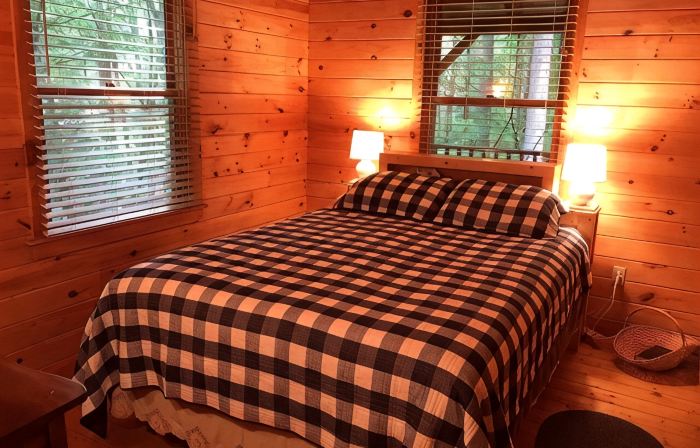 Cozy Cabin with Fireplace, 2 Bedrooms & 2 Queen Size Couch Beds!