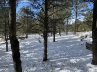 Cozy M&M’s Condo-2 blocks from resort lift! - 2-Star