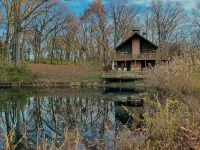 Private Cabin with Pond on Family Farm - Homestays