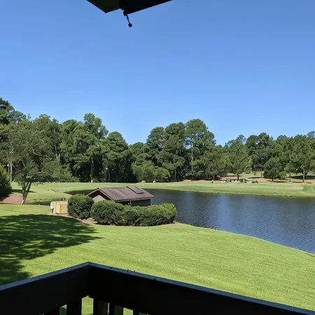Lakeside Condo on Pinehurst #5