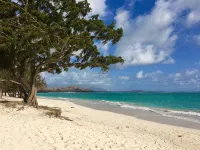 Tropical Gardens,4 Bdr, Large Yard, Pool, 5 min Walk to Beach,Koi Pond, Kailua - Private Pools