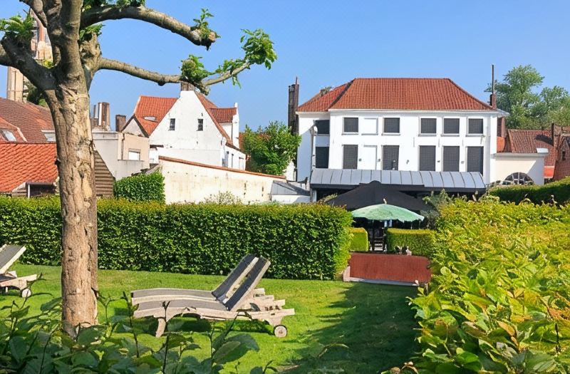 Hotel Montanus