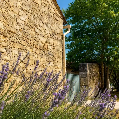 Uzès superb, comfortable gîte with swimming pool 700m from town center: