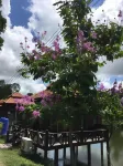 Sarocha Resort Rayong Hotel in zona Nang Yai, Museo del Teatro delle Ombre al Wat Ban Don