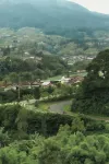 Tree Love Temanggung Hotel Hotels in Temanggung