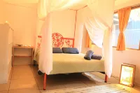 Madre Selva Jungle Hostel