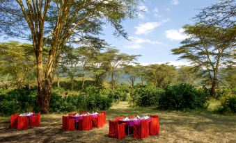 a group of people are gathered around a dining table in a grassy area , enjoying a meal together at Ngorongoro Serena Safari Lodge