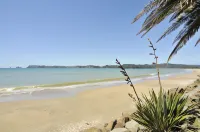 Whitianga Campground Hotels in Coromandel