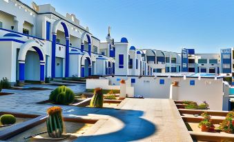 a modern building with blue and white accents is surrounded by cacti and a small garden at Coral Sun Beach