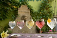 Hotel Palacio del Obispo Hotels in Graus