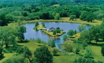 an aerial view of a serene lake surrounded by lush green trees and a small house in the distance at BlissWood B&B Ranch