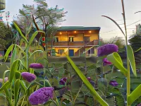 Friendly Home Hotels in Tsinandali