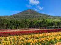 Kokumin Shukusha Sun Marina