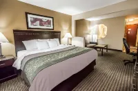 Econo Lodge Inn & Suites Monroe - piscine