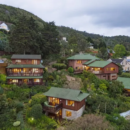 Big Tree House Lodge