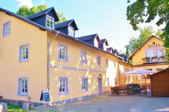 Hotel Alttolkewitzer Hof Hotels in Laubegast