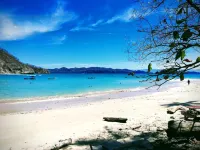 El Gecko Hotel & Tours Hotels in Paquera