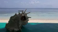 Shirley's Cottage - Pamilacan Island