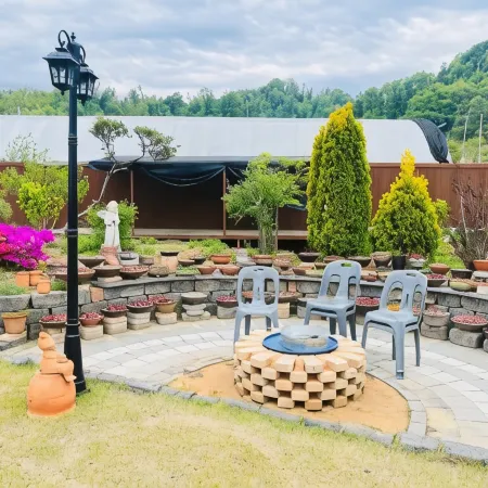 Sarah's Small Garden