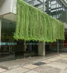 Aristo Residence
