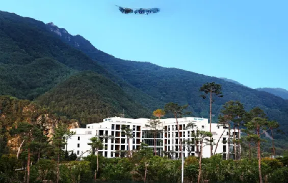 Pine Forest Jeongseon Alpine Resort