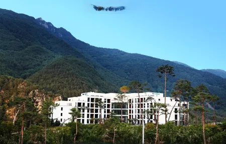 Pine Forest Jeongseon Alpine Resort