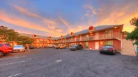 Shearing Shed Motor Inn - parking