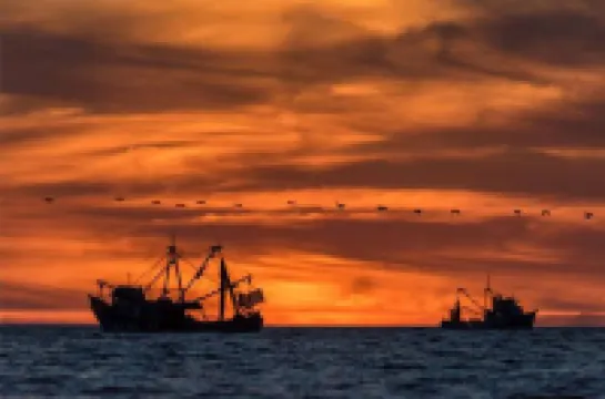 Hotel Malibu Guaymas