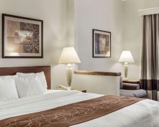 Comfort Inn Bismarck