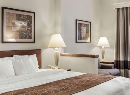 Comfort Inn Bismarck