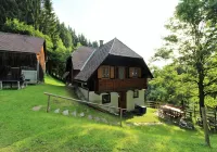 Spacious Chalet with Sauna Near Ski Area in Wolfsberg