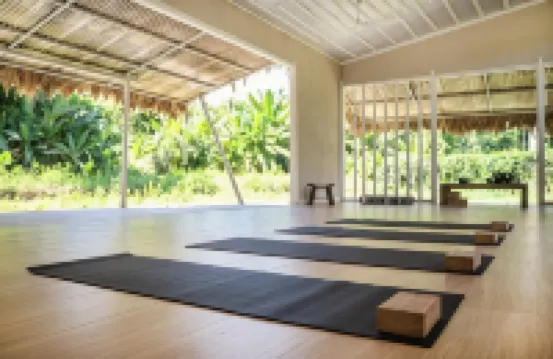 Sonora Jungle & Yoga Retreat