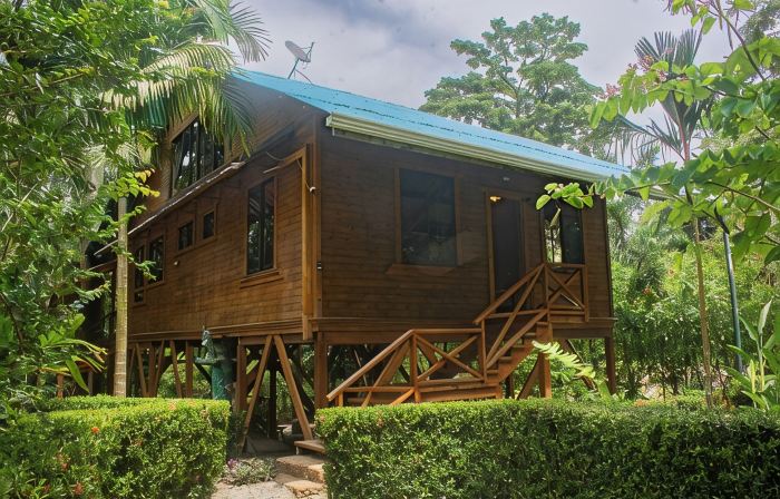 Treehouse in the Canopy close to beach - large garden with trails - Pavones wave