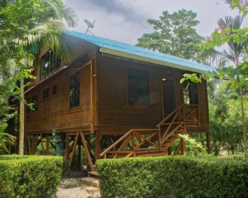 Treehouse in the Canopy close to beach - large garden with trails - Pavones wave Hotels in Pavones