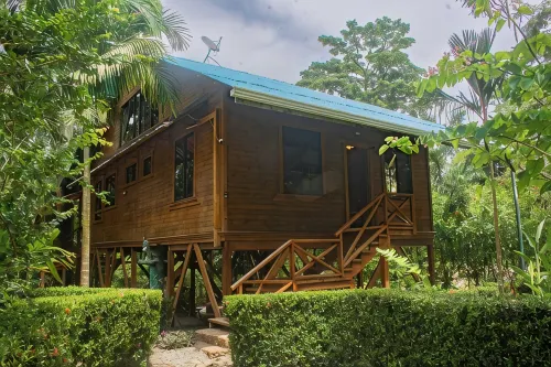 Treehouse in the Canopy close to beach - large garden with trails - Pavones wave - Wifi