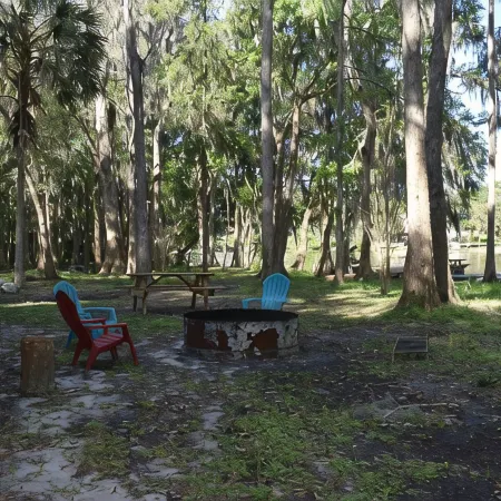 Paradise Palms on Rainbow Ranch